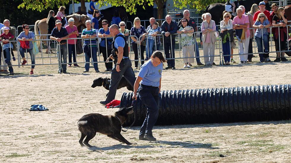 Tiershow auf der Seewiese