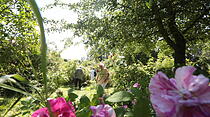 Rosenfest in Karben