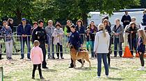 Tiershow auf der Seewiese Friedberg