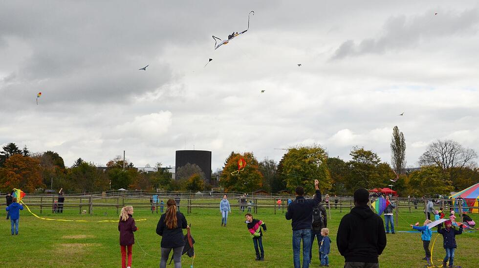 Drachenfest in Bad Nauheim