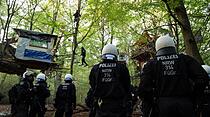 Im Wald
