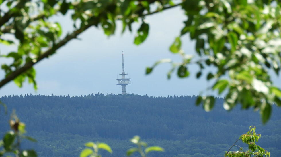 Beim Sonntagsspaziergang im Naturschutzgebiet "Magertriften" in Ober-Mörlen. Von Edith Heil.