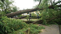 So sah es nach dem Unwetter in Gießen aus