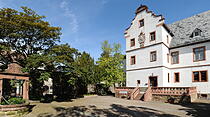 Blick aufs Schloss im Sommer 2013.