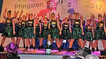 Fasching in Nieder - Florstadt