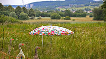 Oliver Schepps Foto der Woche
