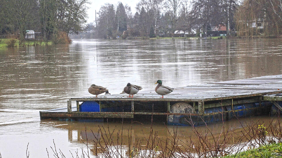Hochwasser in Gießen am 4. Januar (Foto: Schepp)