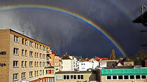 Oliver Schepps Foto der Woche