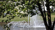 Frühjahrsimpressionen aus dem Bad Nauheim Kurpark und Südpark