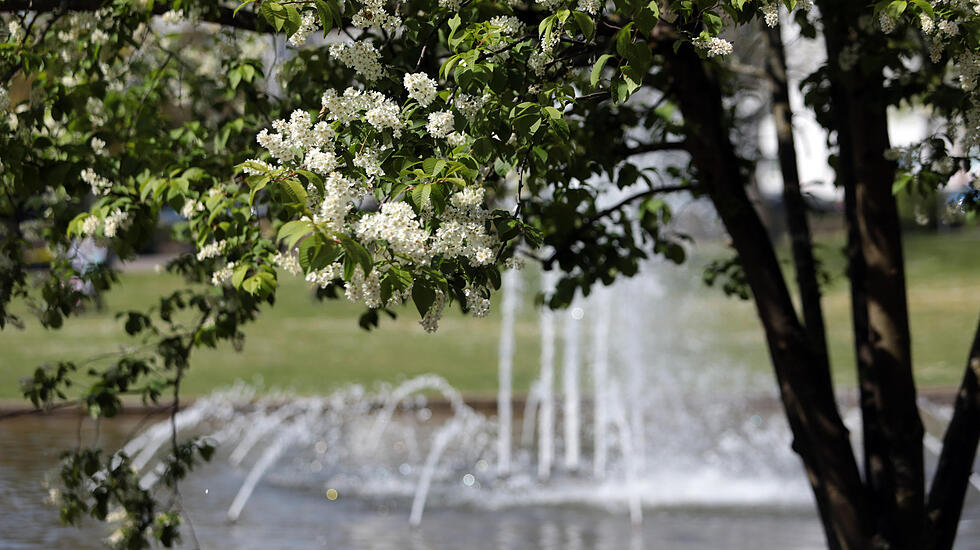Frühjahrsimpressionen aus dem Bad Nauheim Kurpark und Südpark