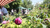 Rosenfest in Karben