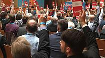 AfD-Landesparteitag in Gießen