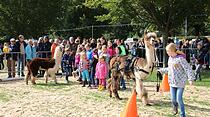 Tiershow auf der Seewiese Friedberg