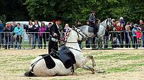 Tiershow auf der Seewiese Friedberg