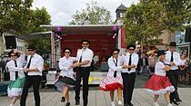 Elvisfest in Friedberg