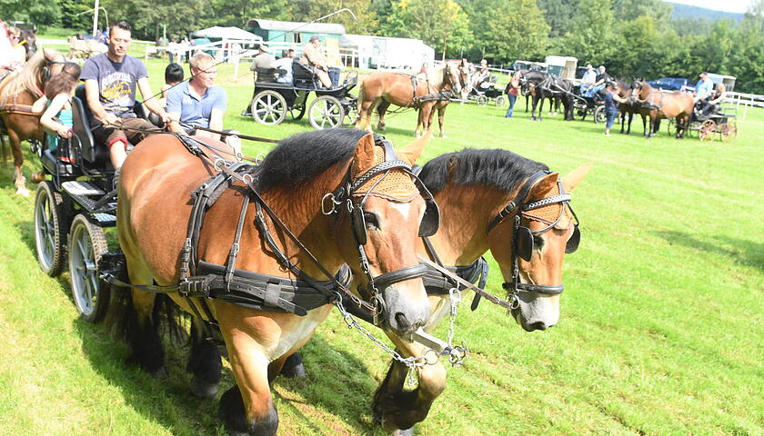 c-Kutschertreffen2_270817