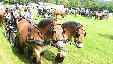 c-Kutschertreffen2_270817