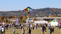Drachenfest