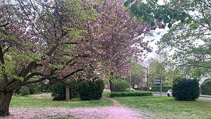 giloka_ostanlage_1405_olz_1