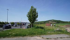 pad_allendorf_030525