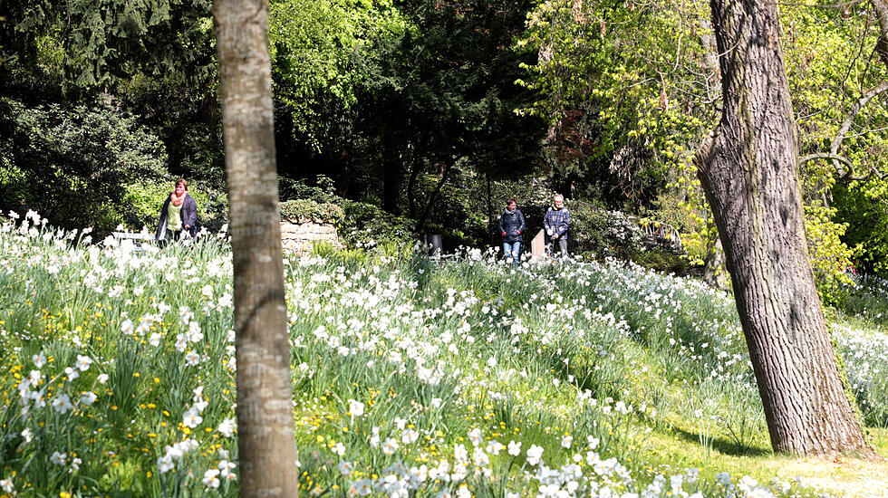 Frühjahrsimpressionen aus dem Bad Nauheim Kurpark und Südpark