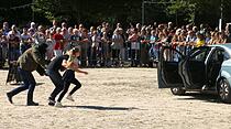 Tiershow auf der Seewiese