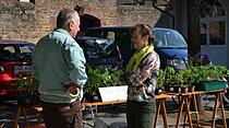 Pflanzenmarkt in Bad Nauheim