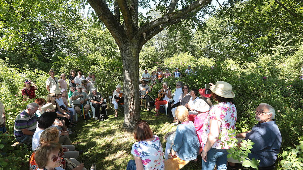 Rosenfest in Karben