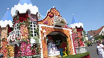 Rosenkorso in Steinfurth