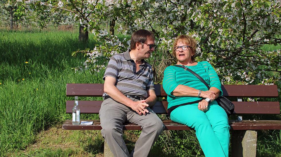 Kirschblütenwanderung des Obst- und Gartenbauvereins im Kirschenberg Ockstadt