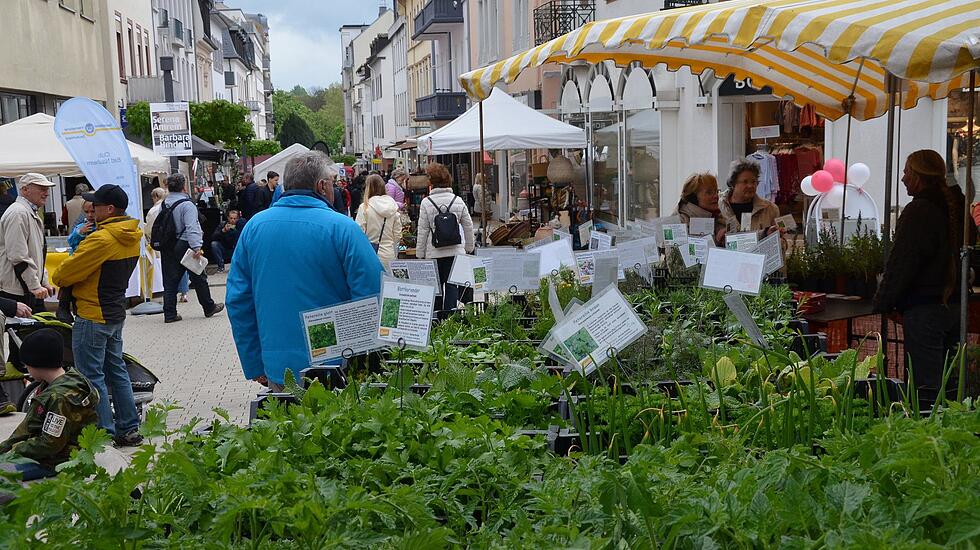 Kunst- und Gartenmarkt in Bad Nauheim