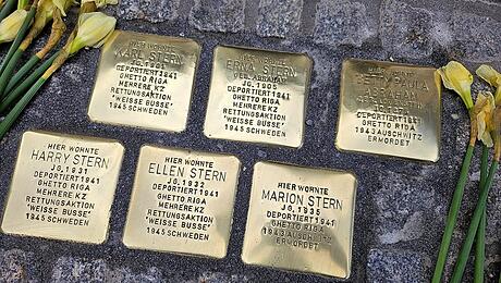 SM_F_StolpersteineNeustadt_