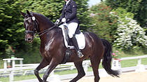Dressur- und Springturnier auf der Reitsportanlage der Familie Loth in Friedberg – Fauerbach