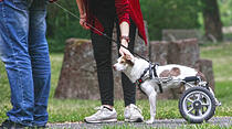 Oliver Schepps Foto der Woche