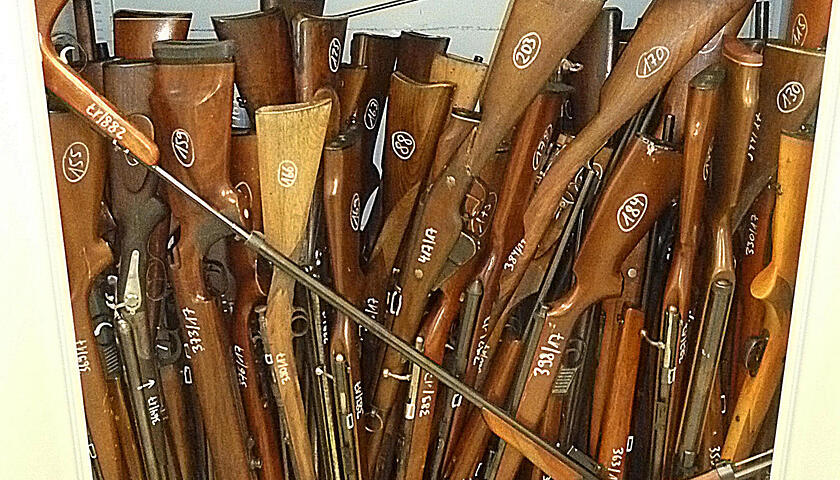 SM_D_391_Waffen_071017