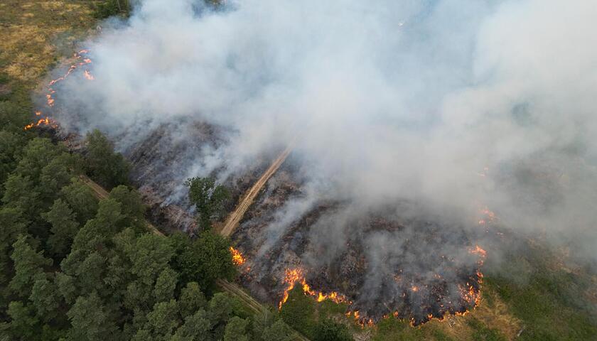 feuerbutzbach_180723