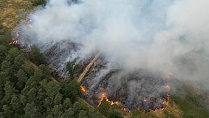 feuerbutzbach_180723