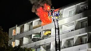giloka_2006_BrandinderMarbu