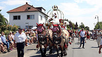 Rosenkorso in Steinfurth
