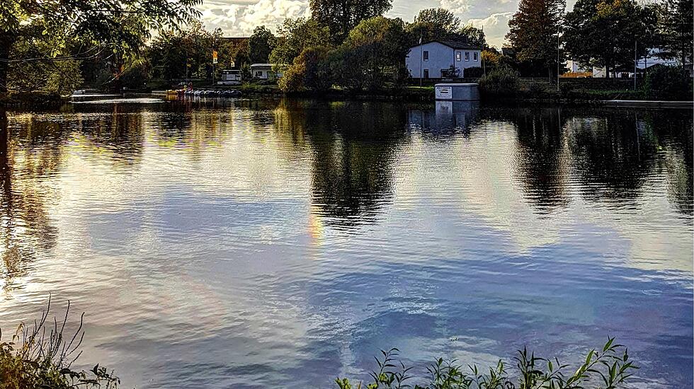 Leserfotos der Woche: Verklärter Herbst