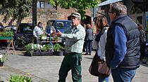Pflanzenmarkt in Bad Nauheim