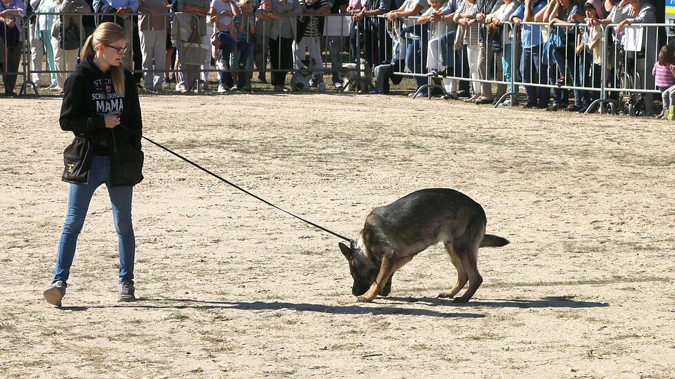 Tiershow auf der Seewiese