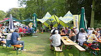 Blues-Festival