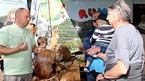 Tiershow auf der Seewiese
