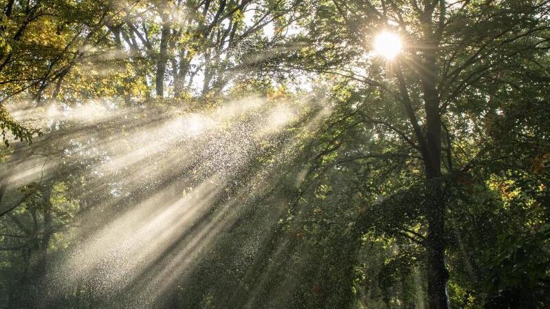 Wasser und Licht